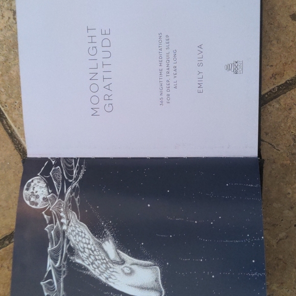 Moonlight Gratitude 365 Art Meditation Sleep Book, Beautiful! Emily Silvia - Picture 2 of 7